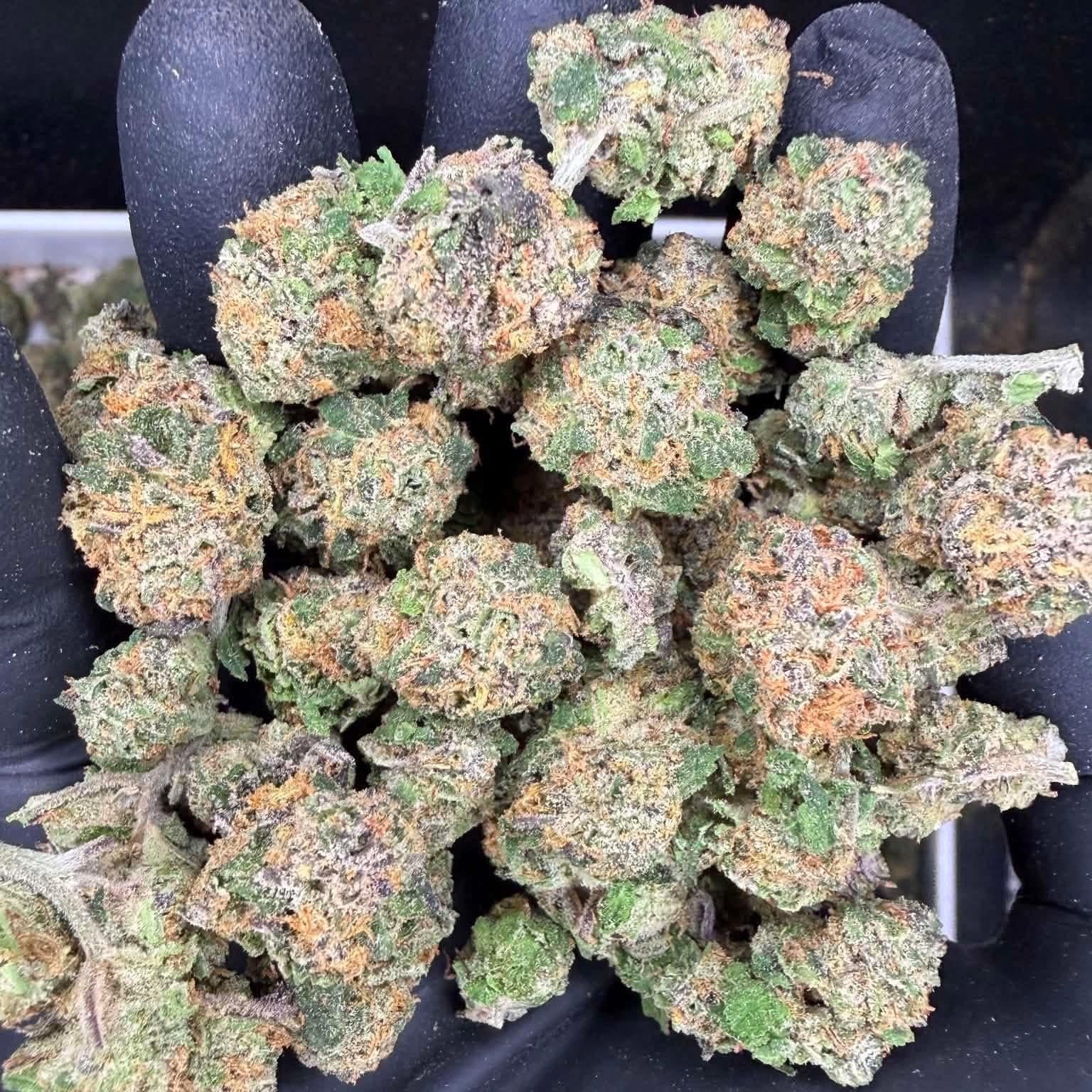 Cannabis